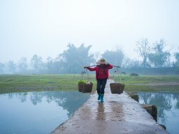 Exemple Galerie Photos